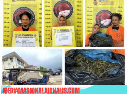 Satresnarkoba Polres Tapsel Gagalkan Peredaran 3 Kg Ganja, Dua Pelaku Ditangkap Gunakan Becak Motor