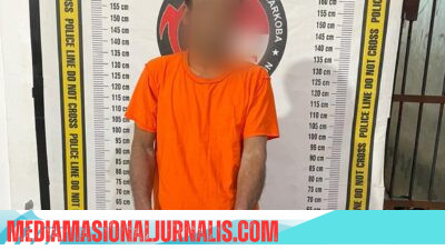 Sempat Melawan Pakai Gunting, Pengedar Sabu Diringkus Polisi di Kebun Sawit Raya Kahean