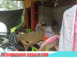 “Babinsa Turun Tangan, Kualitas Kopi Paya Jeget Ditingkatkan Lewat Sortir Biji”