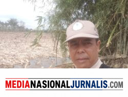 Tagih Janji Prabowo! Konsorsium Hutan dan Sungai Aceh Desak Legalisasi Tambang Rakyat
