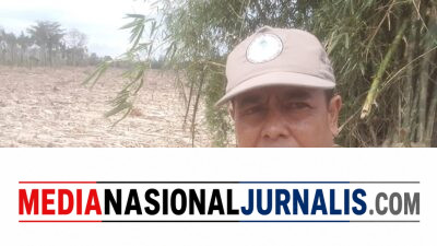 Tagih Janji Prabowo! Konsorsium Hutan dan Sungai Aceh Desak Legalisasi Tambang Rakyat