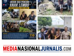 Warga Hubungi 110, Dua Pencuri Anak Lembu di Simalungun Dibekuk Usai Kabur Pakai Sedan dan Tabrak Pemotor