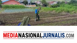 Babinsa Koramil 04/Bintang Aktif Dampingi Warga Lewat Hanpangan dan Komsos
