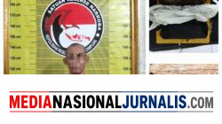 Pria 53 Tahun di Padangsidimpuan Ditangkap Saat Bawa 900 Gram Ganja di Jalinsum