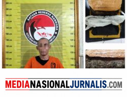 Pria 53 Tahun di Padangsidimpuan Ditangkap Saat Bawa 900 Gram Ganja di Jalinsum