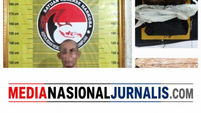 Pria 53 Tahun di Padangsidimpuan Ditangkap Saat Bawa 900 Gram Ganja di Jalinsum