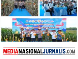 Polda Sumut Ikuti Panen Raya Jagung Serentak Polri Bersama Presiden Prabowo, Dukung Ketahanan Pangan Nasional