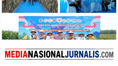 Polda Sumut Ikuti Panen Raya Jagung Serentak Polri Bersama Presiden Prabowo, Dukung Ketahanan Pangan Nasional