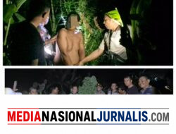 Tanam Ganja di Balik Tembok, Pria di Tanjung Morawa Diciduk Polisi! 40 Batang Setinggi 2 Meter Disita