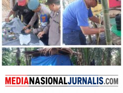 Polsek Sei Bingai Dapat Dukungan Masyarakat Grebek Kampung Sarang Narkoba
