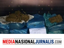 Gagalkan Peredaran 62 Kilogram Ganja, Satresnarkoba Polres Aceh Tengah Ringkus Dua Pelaku