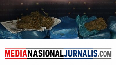 Gagalkan Peredaran 62 Kilogram Ganja, Satresnarkoba Polres Aceh Tengah Ringkus Dua Pelaku