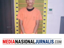 Transaksi Sabu di Pinggir Jalan Digagalkan, Ditresnarkoba Polda Sumut Bekuk Pemuda di Deli Serdang