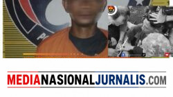Sat Narkoba Polres Pelabuhan Belawan Tangkap Pengedar Sabu di Marelan, Tegaskan Komitmen Berantas Peredaran Narkoba