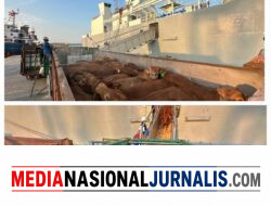 PELINDO Multi Terminal Group Catat Pertumbuhan Trafik _Livestock_ sebesar 6,7 Persen