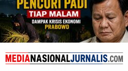 Prof Dr Sutan Nasomal Penanggungjawab Timpas1 Dampak Krisis Ekonomi Dari Lemahnya Rupiah Padi Digasak Pencuri Tiap Malam. Presiden RI Prabowo Diharapkan Mampu Menolong Masyarakat Sragen Jawa Tengah!!!