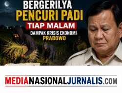 Prof Dr Sutan Nasomal Penanggungjawab Timpas1 Dampak Krisis Ekonomi Dari Lemahnya Rupiah Padi Digasak Pencuri Tiap Malam. Presiden RI Prabowo Diharapkan Mampu Menolong Masyarakat Sragen Jawa Tengah!!!