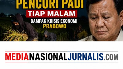 Prof Dr Sutan Nasomal Penanggungjawab Timpas1 Dampak Krisis Ekonomi Dari Lemahnya Rupiah Padi Digasak Pencuri Tiap Malam. Presiden RI Prabowo Diharapkan Mampu Menolong Masyarakat Sragen Jawa Tengah!!!
