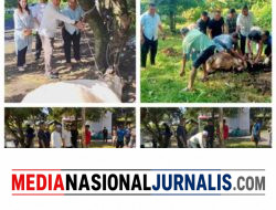 Hari Raya Idul Adha 1447 H, Polres Binjai Sembelih 7 Ekor Sapi dan 3 Ekor Kambing