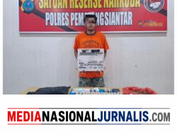 Polres Pematangsiantar Ungkap dan Amankan Warga Gang Pulut Putih Milik Ganja