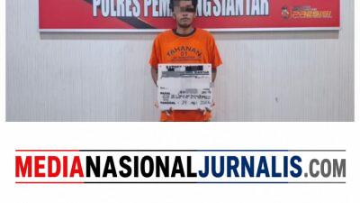 Polres Pematangsiantar Ungkap dan Amankan Warga Gang Pulut Putih Milik Ganja