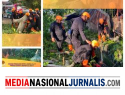 Pohon Tumbang Tutup Akses Jalan, Brimob Sumut Bergerak Cepat Bantu Warga Pematangsiantar