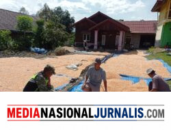 Babinsa Koramil 09/Ketol Komsos dengan Petani Jagung, Bahas Harga Jagung Pipil di Tingkat Petani