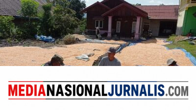 Babinsa Koramil 09/Ketol Komsos dengan Petani Jagung, Bahas Harga Jagung Pipil di Tingkat Petani