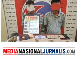 Satres Narkoba Polres Padang Lawas Tangkap Dua Terduga Pengedar Ganja, Ratusan Gram Barang Bukti Disita