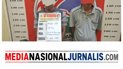 Satres Narkoba Polres Padang Lawas Tangkap Dua Terduga Pengedar Ganja, Ratusan Gram Barang Bukti Disita