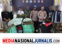Satresnarkoba Polres Aceh Tengah Gagalkan Peredaran 45 Kilogram Ganja, Kurir Antar Kabupaten Ditangkap