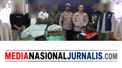 Satresnarkoba Polres Aceh Tengah Gagalkan Peredaran 45 Kilogram Ganja, Kurir Antar Kabupaten Ditangkap