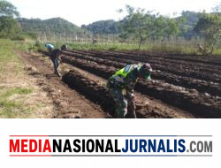 Babinsa Koramil 06/Jagong Dampingi Warga Kembangkan Ketahanan Pangan di Desa Telegesari