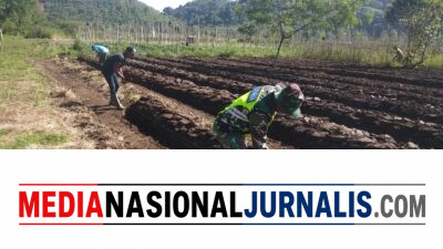 Babinsa Koramil 06/Jagong Dampingi Warga Kembangkan Ketahanan Pangan di Desa Telegesari