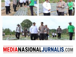 Kapolda Sumut Tinjau Sentra Bawang Putih di Samosir, Tegaskan Dukungan Polri untuk Ketahanan Pangan Nasional