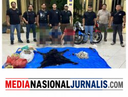 Polres Simalungun Bongkar Perdagangan Satwa Dilindungi, 30 Kg Sisik Trenggiling hingga Kulit Beruang Madu Disita
