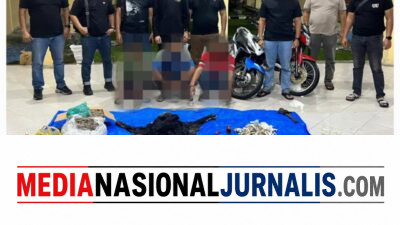 Polres Simalungun Bongkar Perdagangan Satwa Dilindungi, 30 Kg Sisik Trenggiling hingga Kulit Beruang Madu Disita