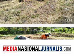 Babinsa Koramil 04/Bintang Bantu Warga Siapkan Lahan Tanam Cabai di Desa Dedamar