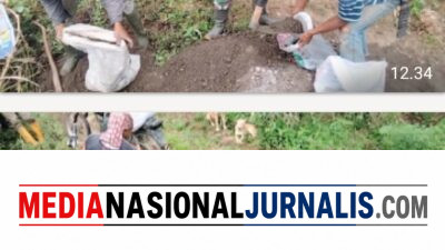 Wujud Kepedulian Babinsa, Gotong Royong Bersama Warga Cor Jalan Akses Kebun di Desa Sepakat