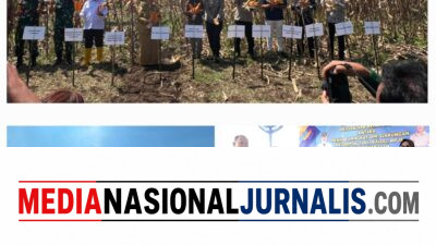Wakapolres Langkat Hadiri Panen Raya Jagung Bersama Gapoktan Maju Bersama di Sei Bingai