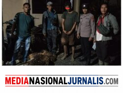 Diduga Curi Empat Tandan Sawit Milik Perusahaan, Seorang Pemuda Diamankan di Pinangsori