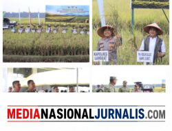 Dukung Ketahanan Pangan Nasional, Kapolres Langkat Bersama Jajaran TNI dan Forkopimda Hadiri Panen Raya Virtual di Sirapit