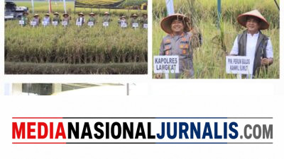 Dukung Ketahanan Pangan Nasional, Kapolres Langkat Bersama Jajaran TNI dan Forkopimda Hadiri Panen Raya Virtual di Sirapit