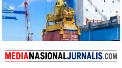 Danantara Perkuat Transformasi PELINDO,Laba Semester I 2026 Tumbuh 60%