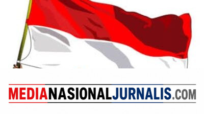 Prof. Dr. Sutan Nasomal Dorong Presiden Perkuat Regulasi Perlindungan Ibu dan Anak