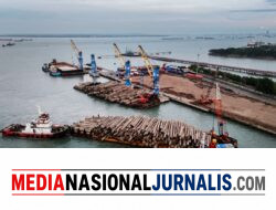 PELINDO Multi Terminal Catat Kinerja Positif pada Semester I 2026.