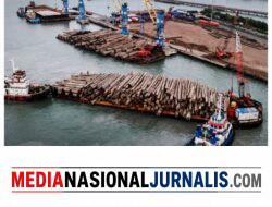 PELINDO Multi Terminal Catat Kinerja Positif pada Semester I 2026