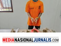 Digerebek Tengah Malam, Polres Karo Temukan Ganja Hampir 108 Gram di Rumah Buruh Bangunan