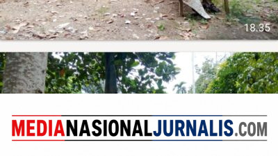 Profesor Sutan Nasomal Minta Presiden Prabowo Perintahkan Wapres Gibran Audit 32 Ribu korban