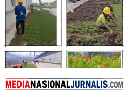 CV. JUNIO DECORATION Hadirkan Layanan Profesional Penghijauan dan Dekorasi Lingkungan